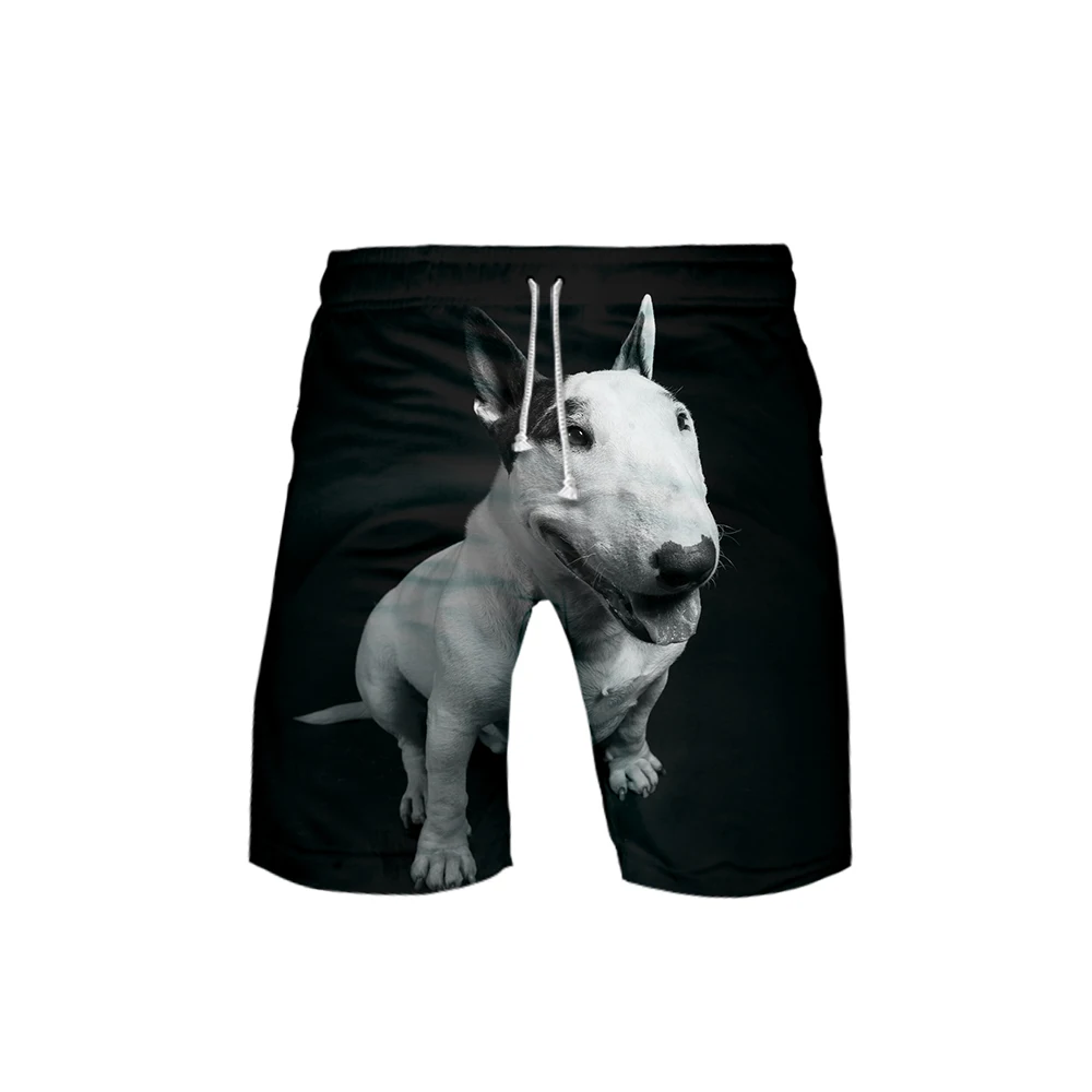 Terrier 3D print Basic Street hip hop Fashion cool Beach Summer Casual comfortable kpop man Hipster