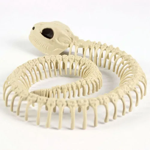 Хэллоуин украшения скелет животного кости реквизит вечерние жуткий паук летучая мышь скорпион ящерица кости украшения Хэллоуин ужас - Цвет: snake