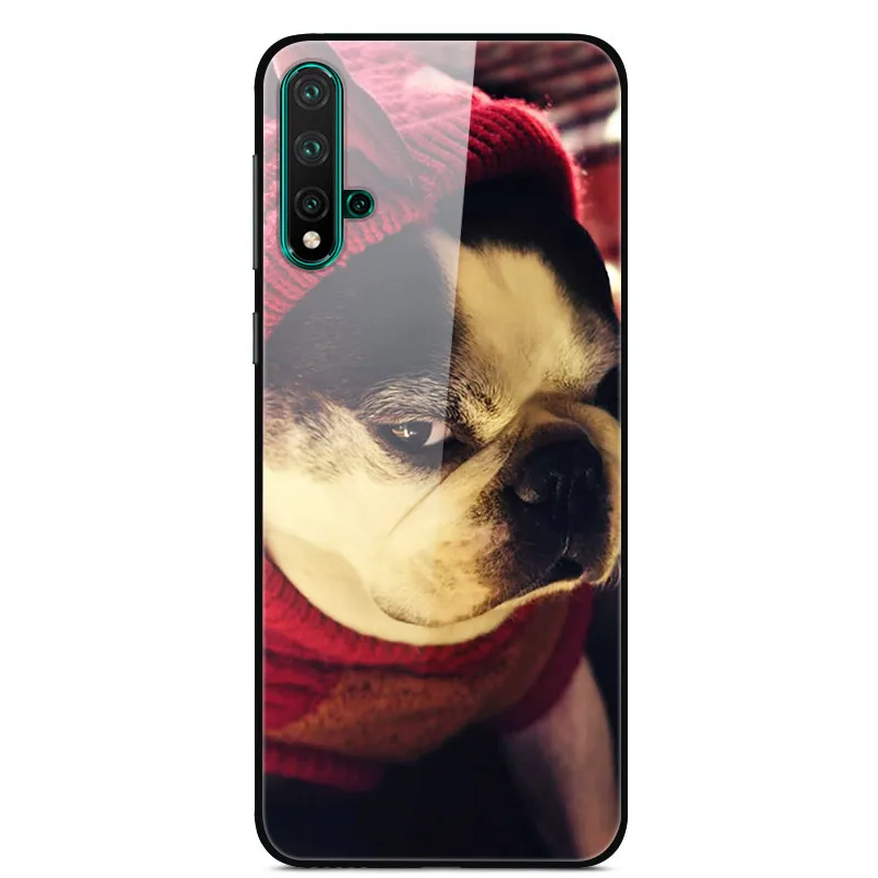 Для huawei Nova 5 Pro Чехол из закаленного стекла «Планета космос», чехол из стекла для huawei Nova 5 Coque Shell Nova5 Pro, чехлы