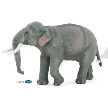 

Elephant Asian-PAPO