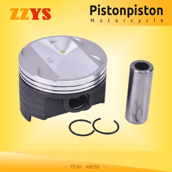

73mm 73.25mm 73.5mm 73.75mm 74mm Motorcycle Piston and Ring Kit For Suzuki AN250 AN 250 STD +25 +50 +75 +100 0.25 0.5 0.75 1.0