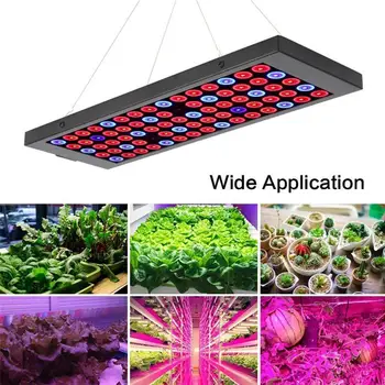 

Plant Lamp Ultra-Thin Regular Growth Aquarium Lamp Spectrum Plant Lamp Plant Plant Growth Full Lamp Promote To Shell W3P9