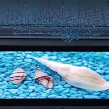 P1.56 светодиодный экран для помещений led tv 200x150 мм светодиодный модуль SMD1010 nation star led экран