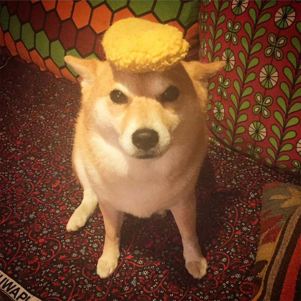 Tempura интерактивные игрушки для собак для больших и маленьких собак, мягкие плюшевые пищащие игрушки для собак больших и маленьких пород, игрушки для домашних собак