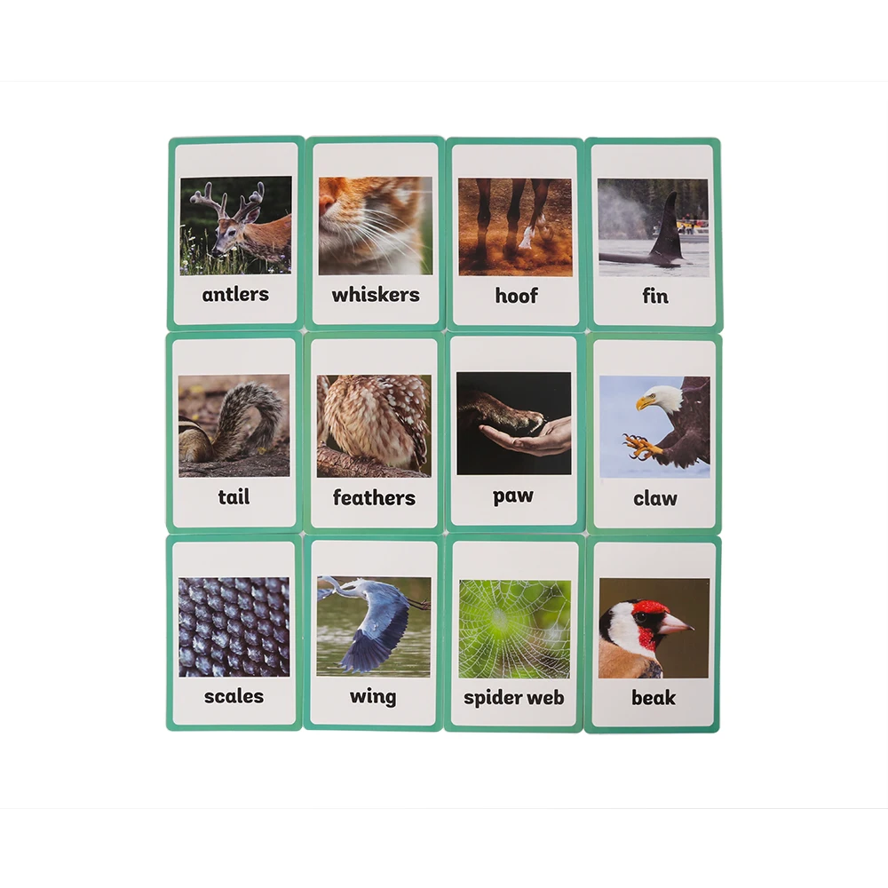 Монтессори Количество еды английская флэш карта карманная английские карточки