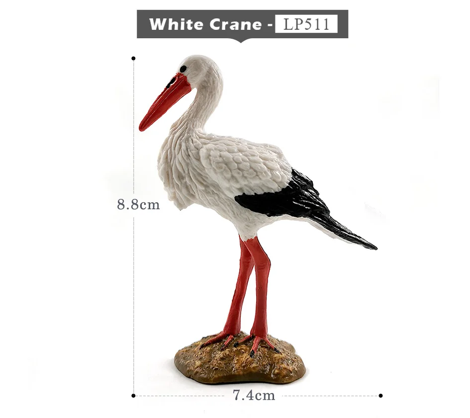 详情页-5款-白鹤-雕鸮-白头鹰-鹦鹉_03