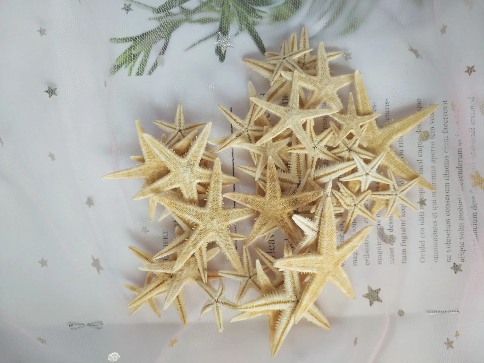 Горячая новинка, 1-5 см, натуральная морская звезда, морская раковина, Пляжное ремесло, натуральные морские звезды, сделай сам, Пляжное свадебное украшение, ремесла, домашний декор, эпоксидная смола