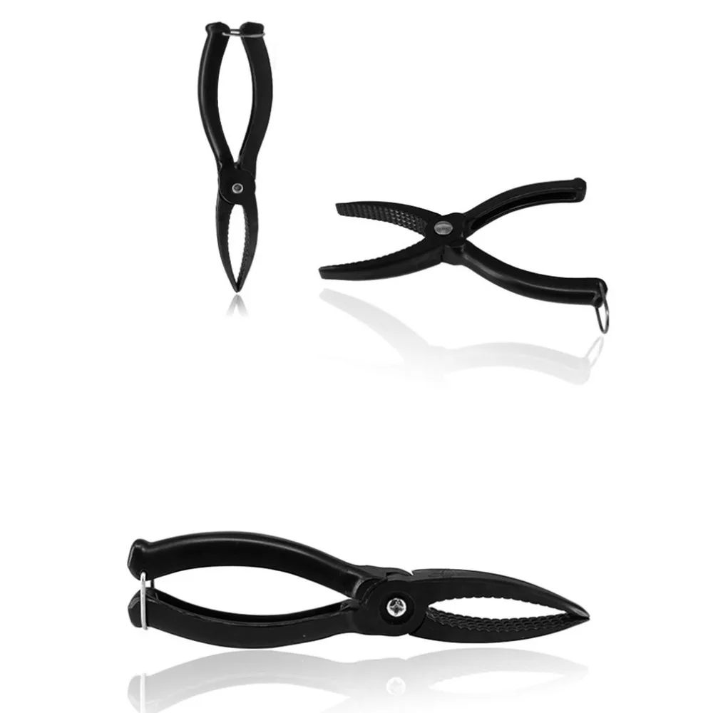 TY550301-C-20110905-1