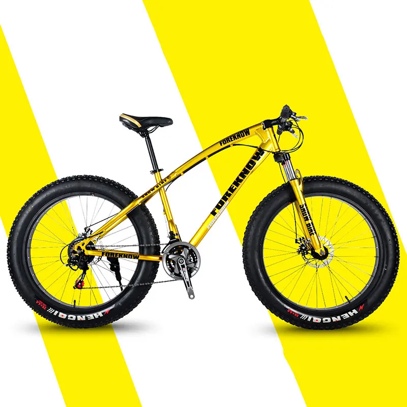 Mountain Bike High Carbon Steel Frame Wide Fat Tire for Male and Female Students Bicycle