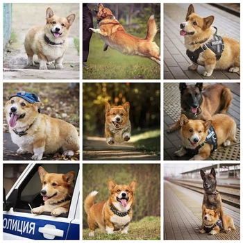 

Police Dog Corgi Diy 5d Painting With Diamond Kit Gift, Rhinestone Embroidery Cross Stitch Dog Ryzhiy Paint By Number Handcrafts