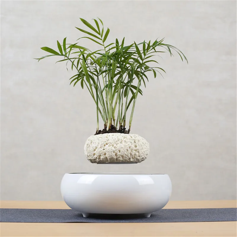 Вращающийся на 360 ° цветочный горшок современный Настольный кашпо магнитный