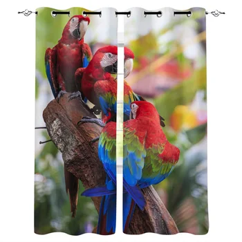 

Multi-size Parrot Colorful Branches Window Curtains Polyester Fabric Living Room Curtain Home Decor