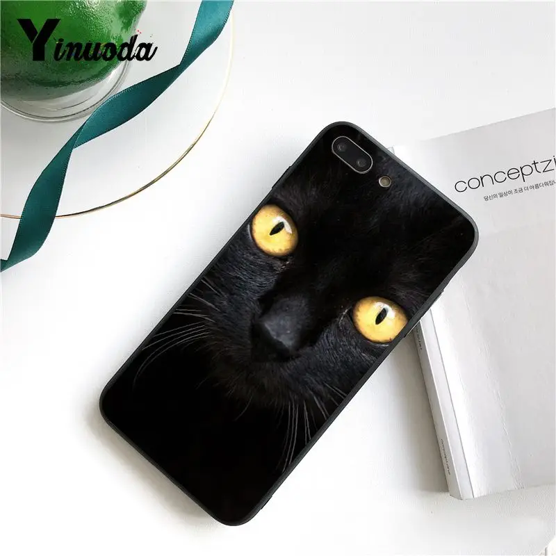 Cute Black Cat Staring Eyes