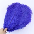 Yueli Life Feathers Store