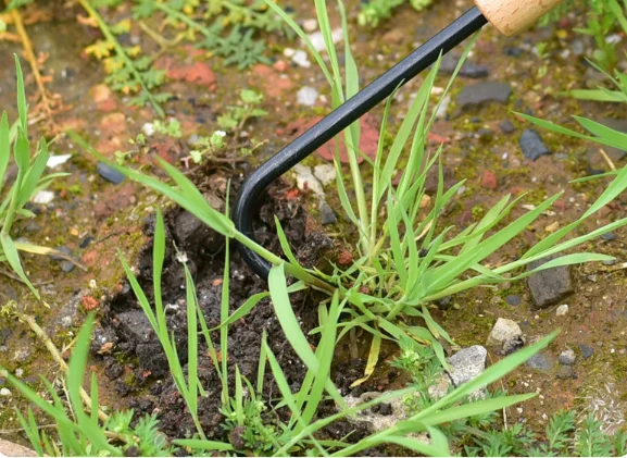 

1pc Garden Weeding Tool Root Remover Wooden Handle Manganese Steel Manual Weeder Weeding Device Single-claw Hook