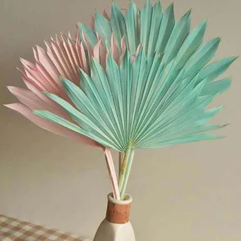 

1PC Natural Dried Flower Mini Fan Leaf Palm Leaves Plant For Vase Flower Arrangement Materials Home Party Decoration