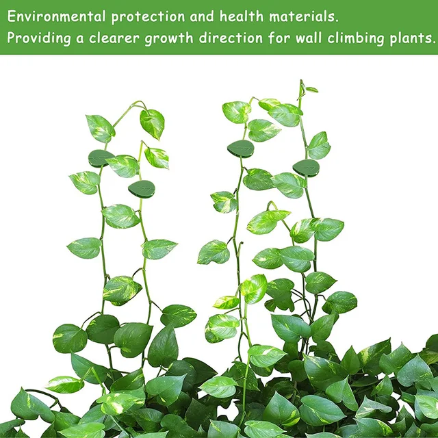 Növénytábla Klip Növényi Hegymászó Falfalapító Kötőanyag Kötött Szerelvény Szőlőcsath Kampó Kerti Növény Fal Hegymászás - Image 4