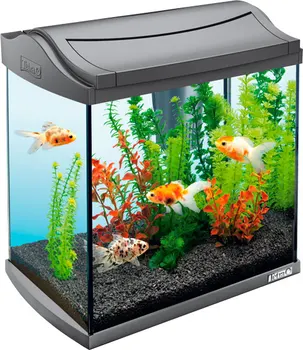 

Aquarium Tetra aquaart discover line, 30 liters, 38x26x42 cm