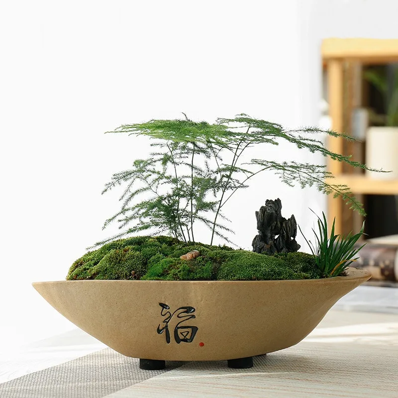 Pot de bonsaï chinois pour la décoration intérieure, plante non incluse,  micro-paysage créatif - AliExpress