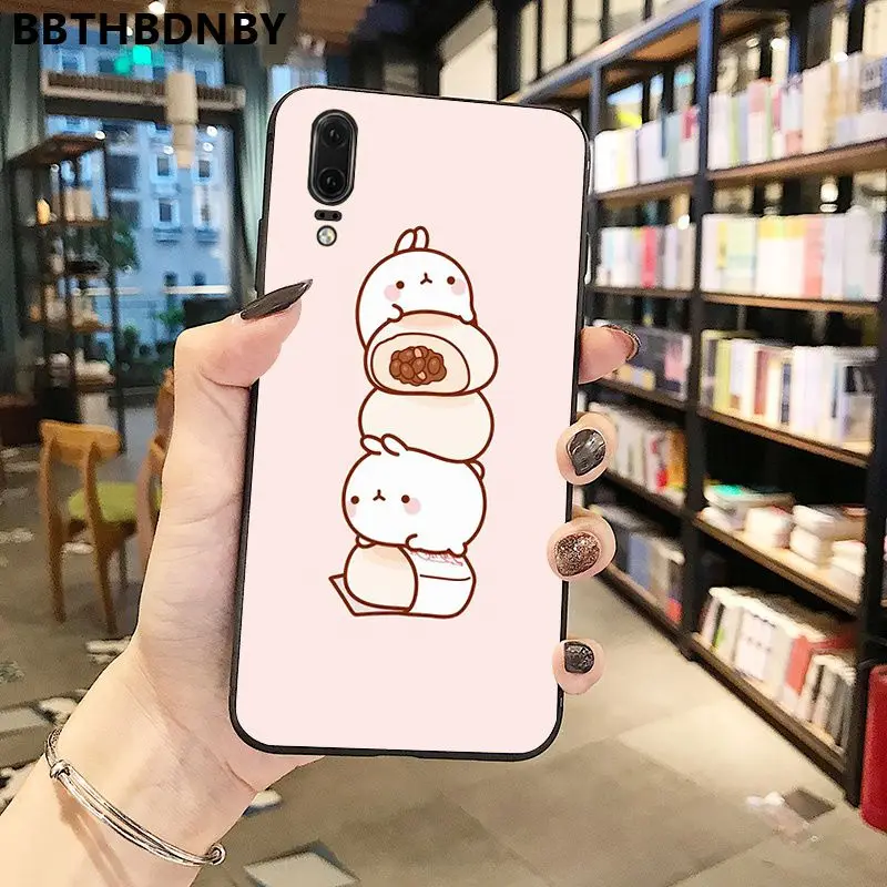 Hamster