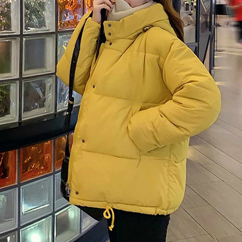 Economici width=