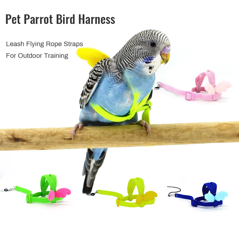 Blue L Long Cable Bird Harness Decorative Lightweight Parakeet Parrot Vest Rope for Bird Valentine's Day/Mother's Day/Wedding/Anniversary/Party/Graduation/Christmas/Birthday Gifts 