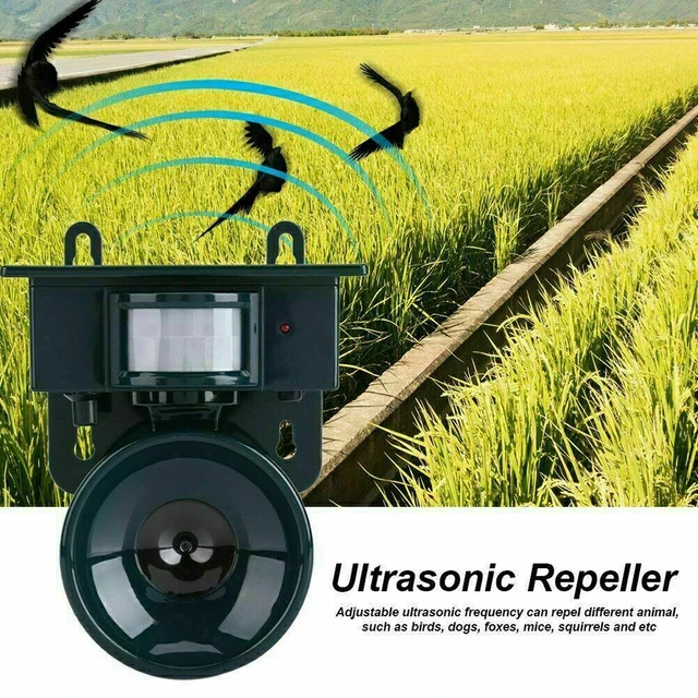 Napenergia Kártevő Repeller Kerti Madárcsökkentő Ultrahangos Sonic Elrettentő Scerer Állati Macska Kutya Róka Taszító Madarak Szerszám - Image 2