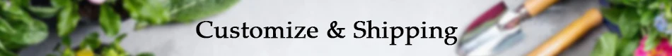 C & S
