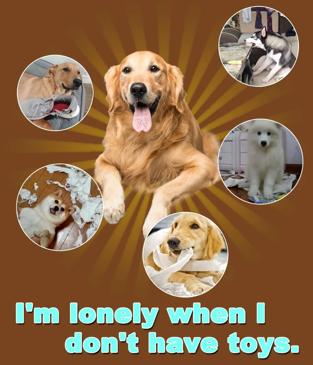 8 - 13392511005_55581158