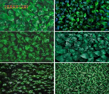 

Green Photo Concept Nature and Plant Background Tropical Plants Photo Vinyl Photographic Backdrop Photo Studio