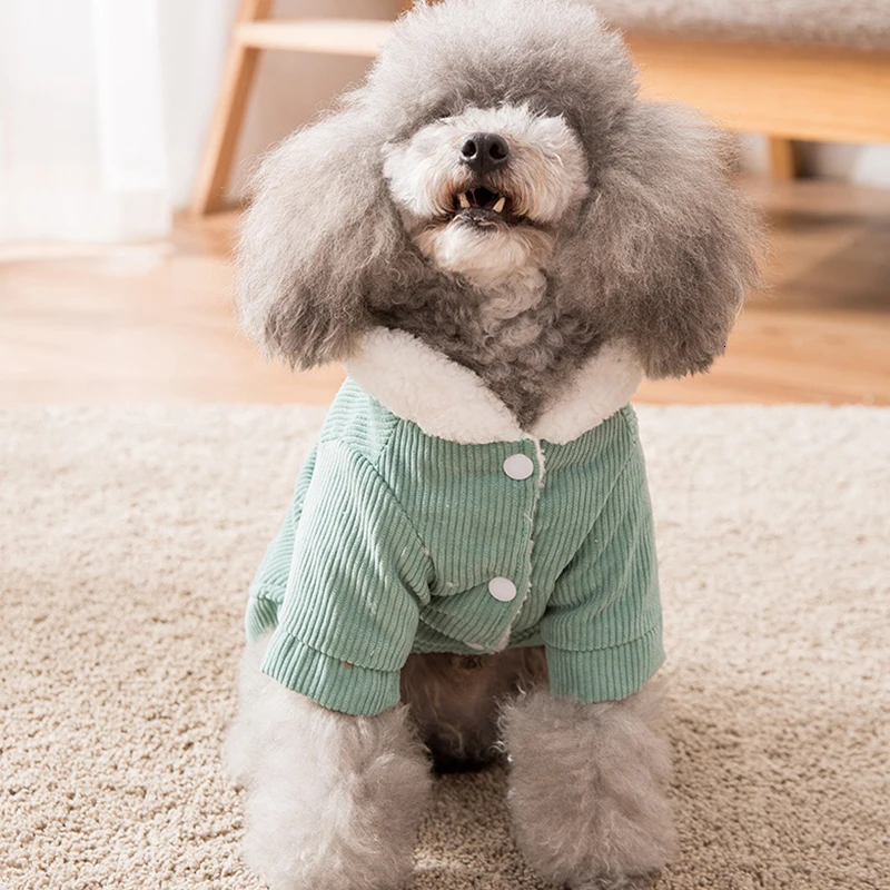 Милая Одежда для питомцев кактус зимняя теплая одежда для собак пальто для собак куртка для собак костюм вельвет одежда для домашних животных для собак чихуахуа