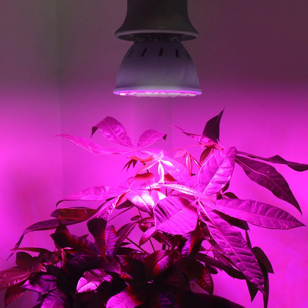 

2020 Newest 36/54/72Leds Grow Light E27 Led flowers Growing Lamps For Plant E27 220V Phyto Lamp Full Spectrum LED Grow Lights