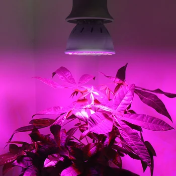 

2020 Newest 36/54/72Leds Grow Light E27 Led flowers Growing Lamps For Plant E27 220V Phyto Lamp Full Spectrum LED Grow Lights