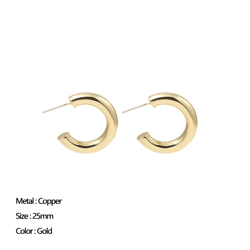 Earrings Classic Stainless Steel for Women Trendy Gold Small Large Circle Punk Jewelry 36 Hc70f36589f1c4e25950ab6c4c1fa370df
