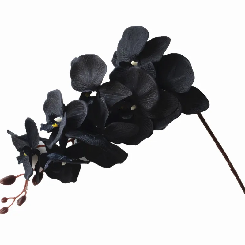 Orquídeas de polilla negra de seda, 6 piezas, Phalaenopsis, mariposa,  orquídea, flores artificiales decorativas para boda|flower head|big  orchidmoth orchid - AliExpress