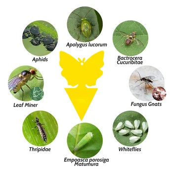 

25/30/50pcs Double Sided Glue Insect Sticky Board Pest Repellent Board Bug Fly Gnat Trap Hooks Digging Tool for Plant Pot