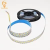 5cm/2W 5B10Cx2 Double colors LED tape white&warm white LED strip light source be used in chandelier ceiling lamp panel light... ► Photo 1/6