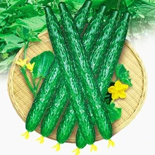 1 упаковка 200 огурец Cucumis Sativus Cuke, зеленый овощной сад поставки