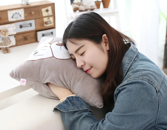 Cartoon Pillow Blanket Dual Purpose Students Napping Pillow Office Cushion Back Cushion Coral Fleece Blanket Car Airable Cover