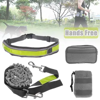 

Pet Dog Cat Running Padded Waist Belt Reflective Strip Elastic Leash Perfect Walking Training Dog Leash Pouch Set Hands Free