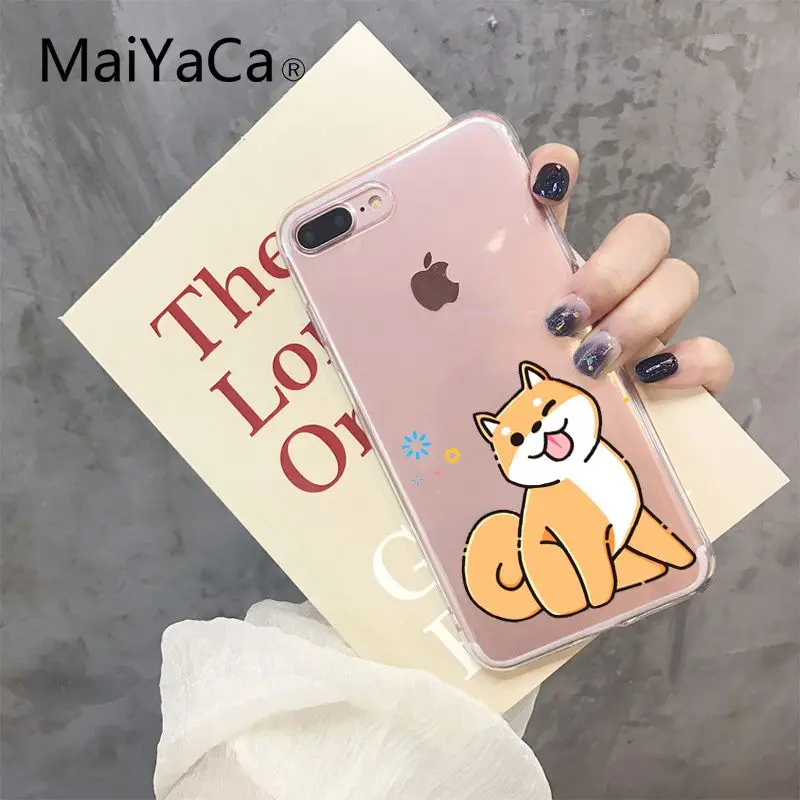 Shiba Inu Dog