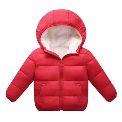 Куртка для маленьких девочек коллекция года, осенне-зимняя куртка для девочек, пальто детская теплая верхняя одежда с капюшоном, пальто для мальчиков, куртка, пальто детская одежда - Цвет: Unremovable