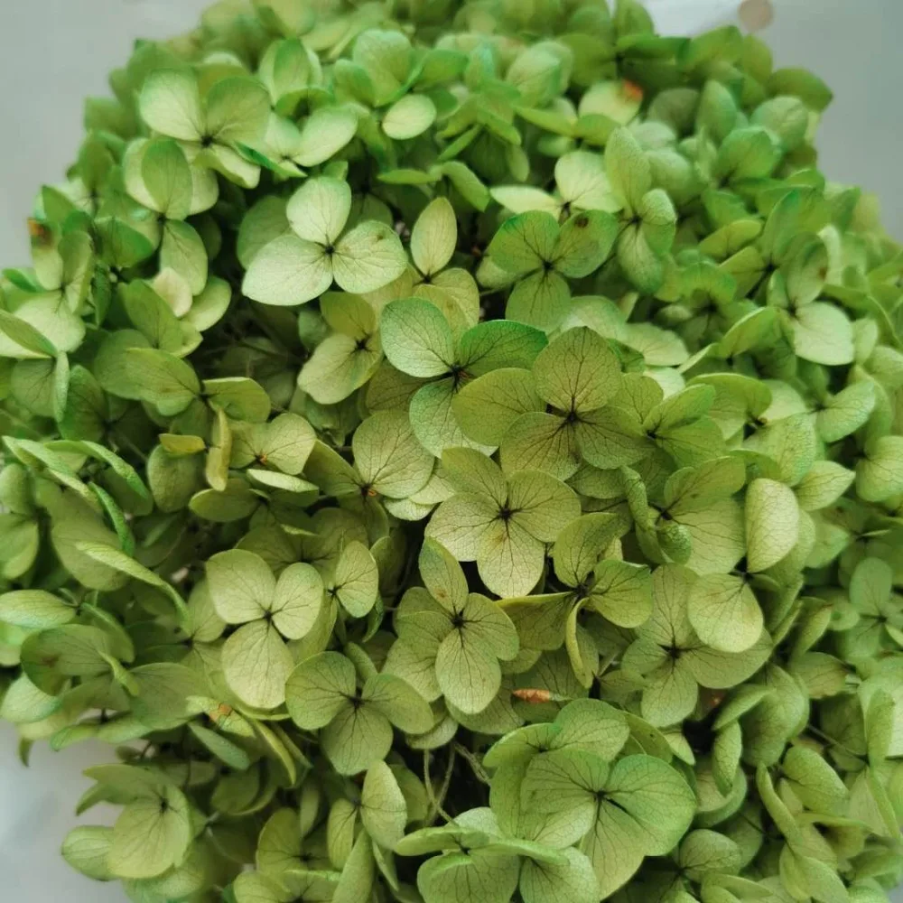 3c139c2bf1cb90e298a0c04cb36e4bd