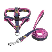 2 colores de arnés de Nylon para perro mascota cuerda para caminar al aire libre correa ajustable para mascotas correa de tracción accesorios de mascota perro(China)