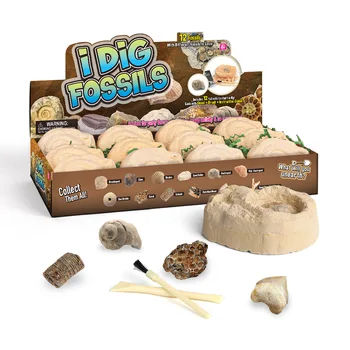 

New Products Cross Border Creative Children DIY Toy Seashell Conch Sandfish Teeth Fossil Archeology Dig Set