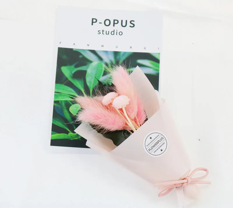 O1CN01C5nwov1NnFkzKxiuJ_!!4105661614