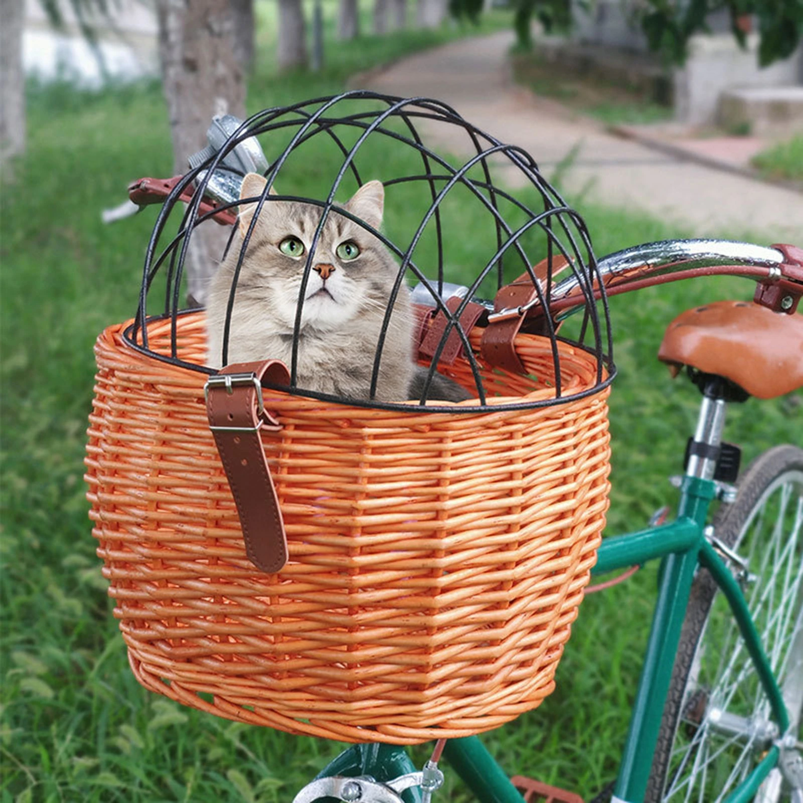delantero de bicicleta para y gatos, cesta de mimbre para asiento de mascotas, accesorios de ciclismo, novedad de 2022|Maletas y cestas de bicicleta| - AliExpress