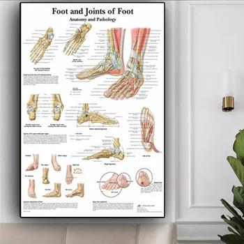 

Human Organs Anatomy Chart Oil Painting on Canvas Posters and Prints Cuadros Wall Art Pictures For Living Room