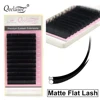 New Matte Flat Eyelash Extensions Individual Mink 0.15 0.20 Softer Ellipse Flat Lash Split Tips Ligher Volume Looking ► Photo 3/6