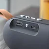 Portable Audio 